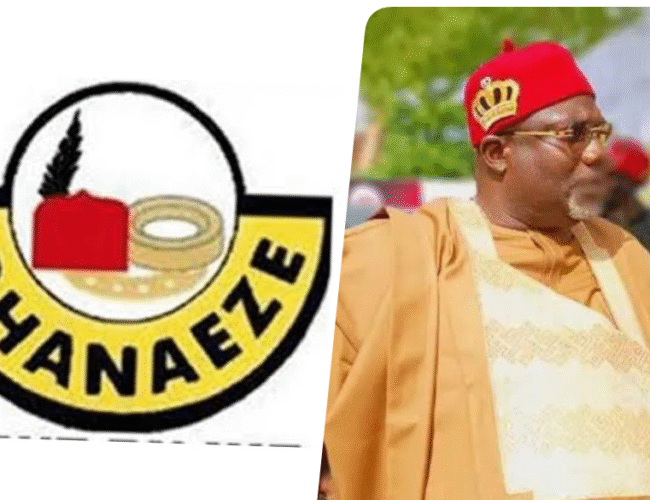 2027: Heed The Cries Of Your People – Ohanaeze Calls On Dr. Emeka Charles Kalu (ECK)