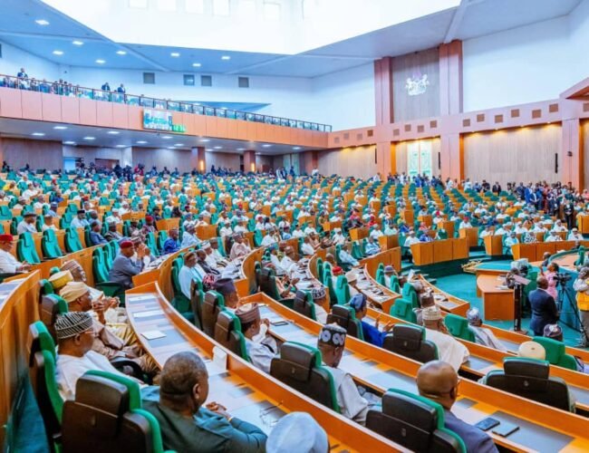 House of Reps Order IGP, NSCDC to Enforce Full Uniforms at Checkpoints, Citing National Security Risk