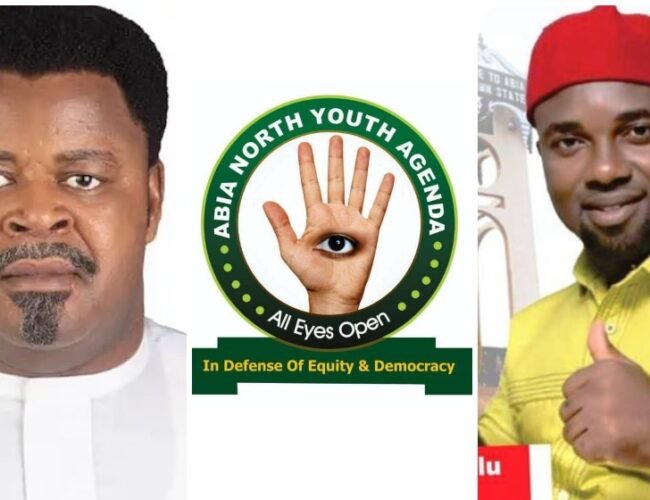 2027 Senate: Abia North Youth Agenda Calls on Ambassador Osita Offor to Contest